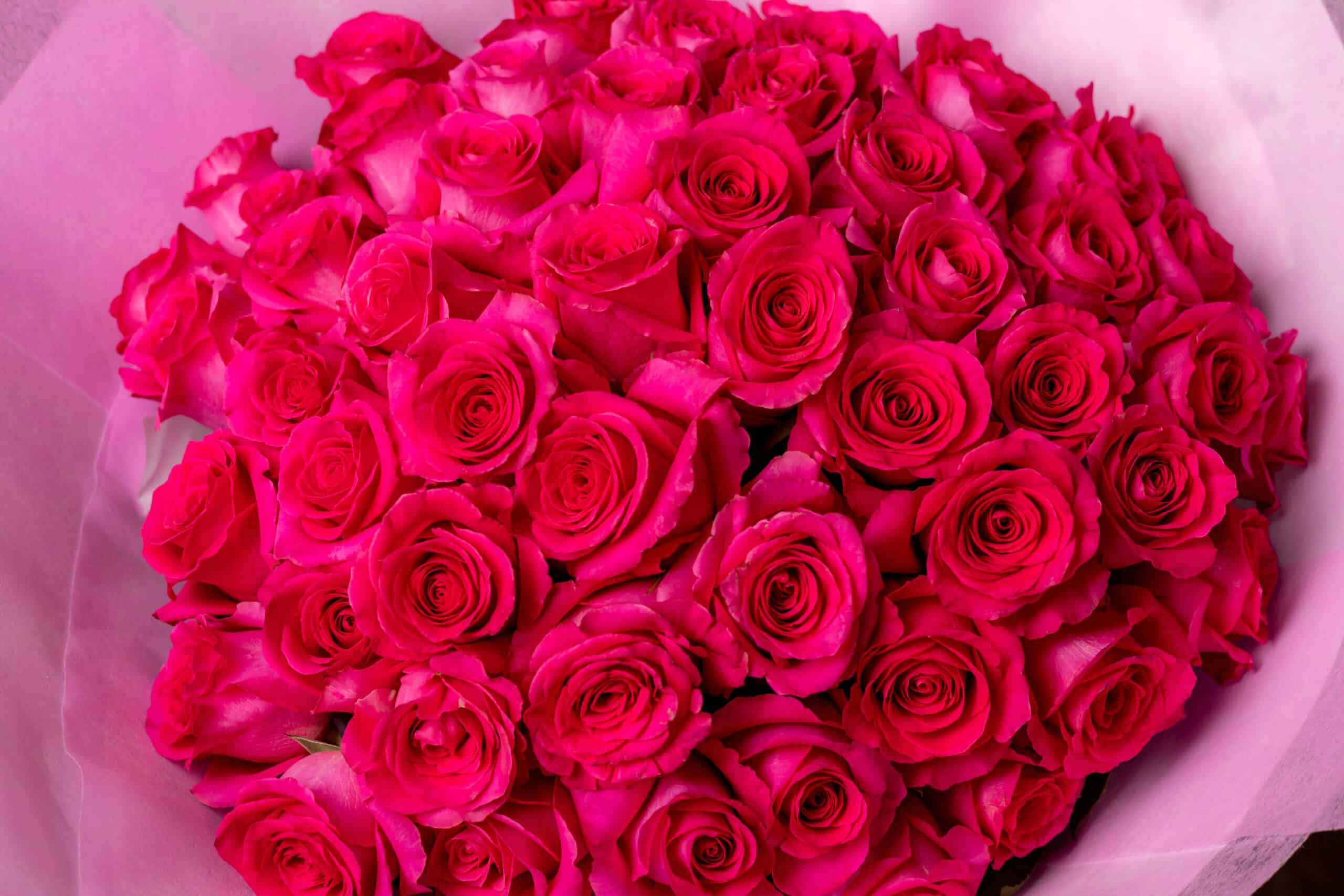 pink roses bouquet 2