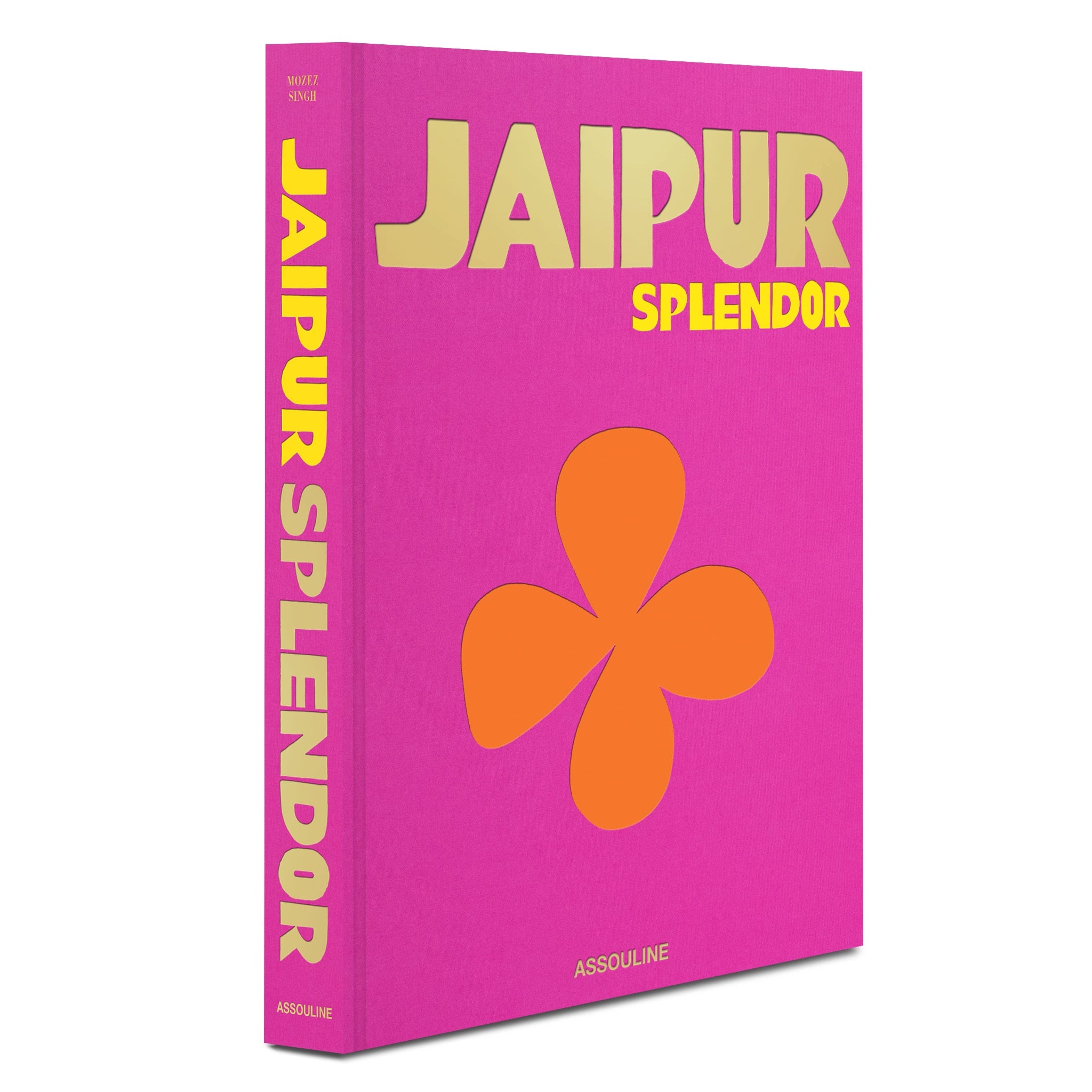 Assouline book Jaipur splendor