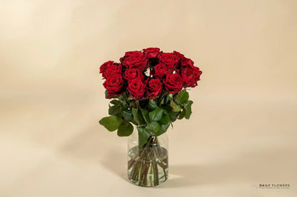 Red roses 24