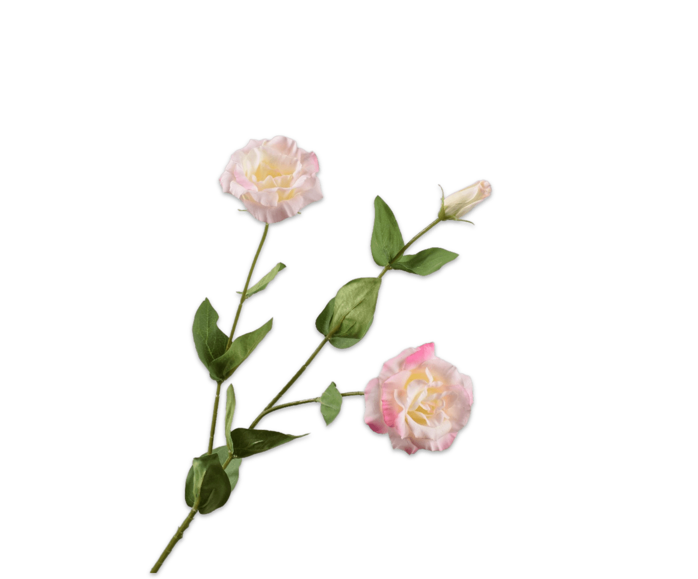 Silk Lisianthus Branch - Cream & Pink