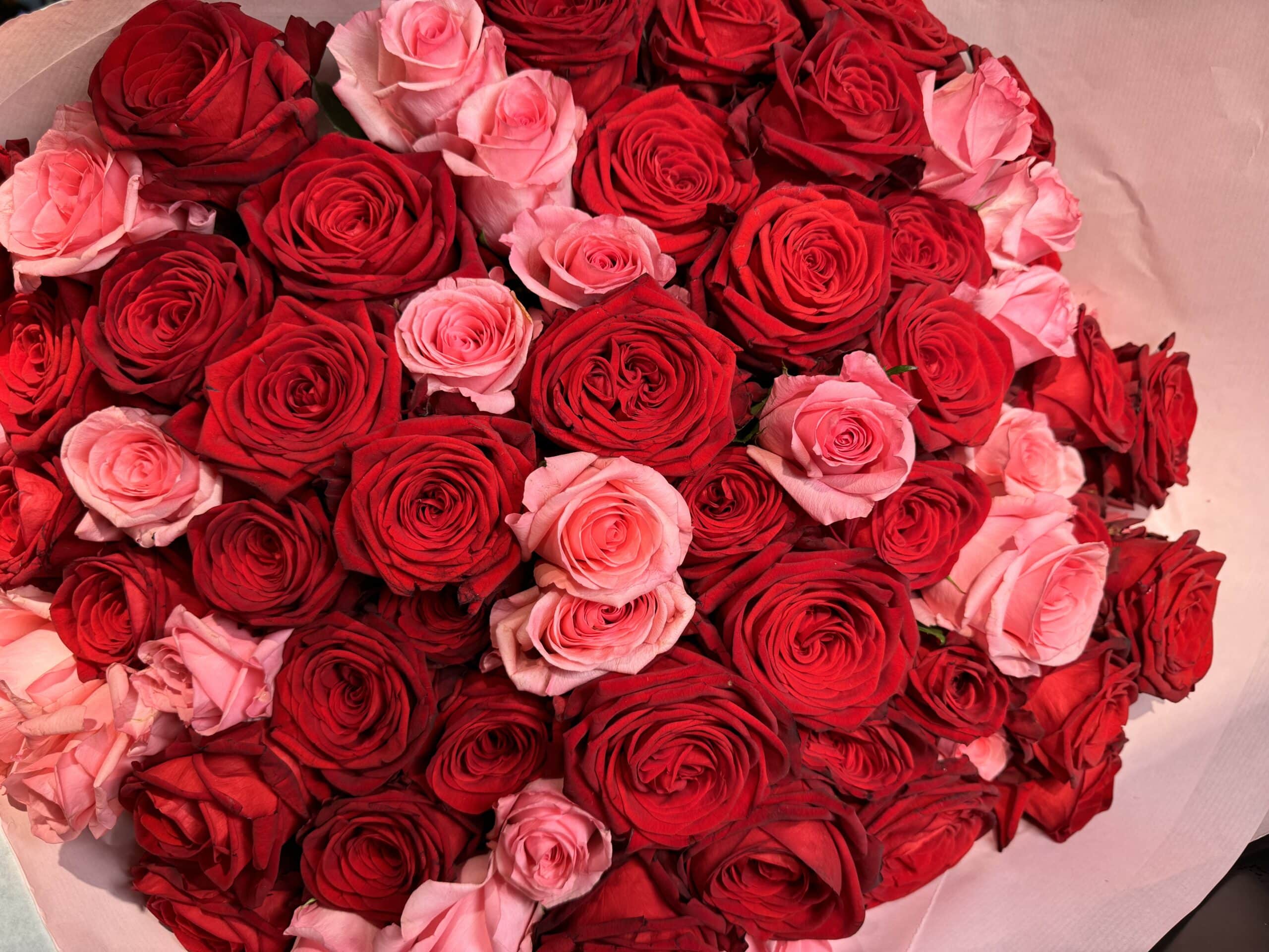 Pink and Red Roses Bouquet - TikTok favorites