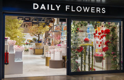 Discover our stores