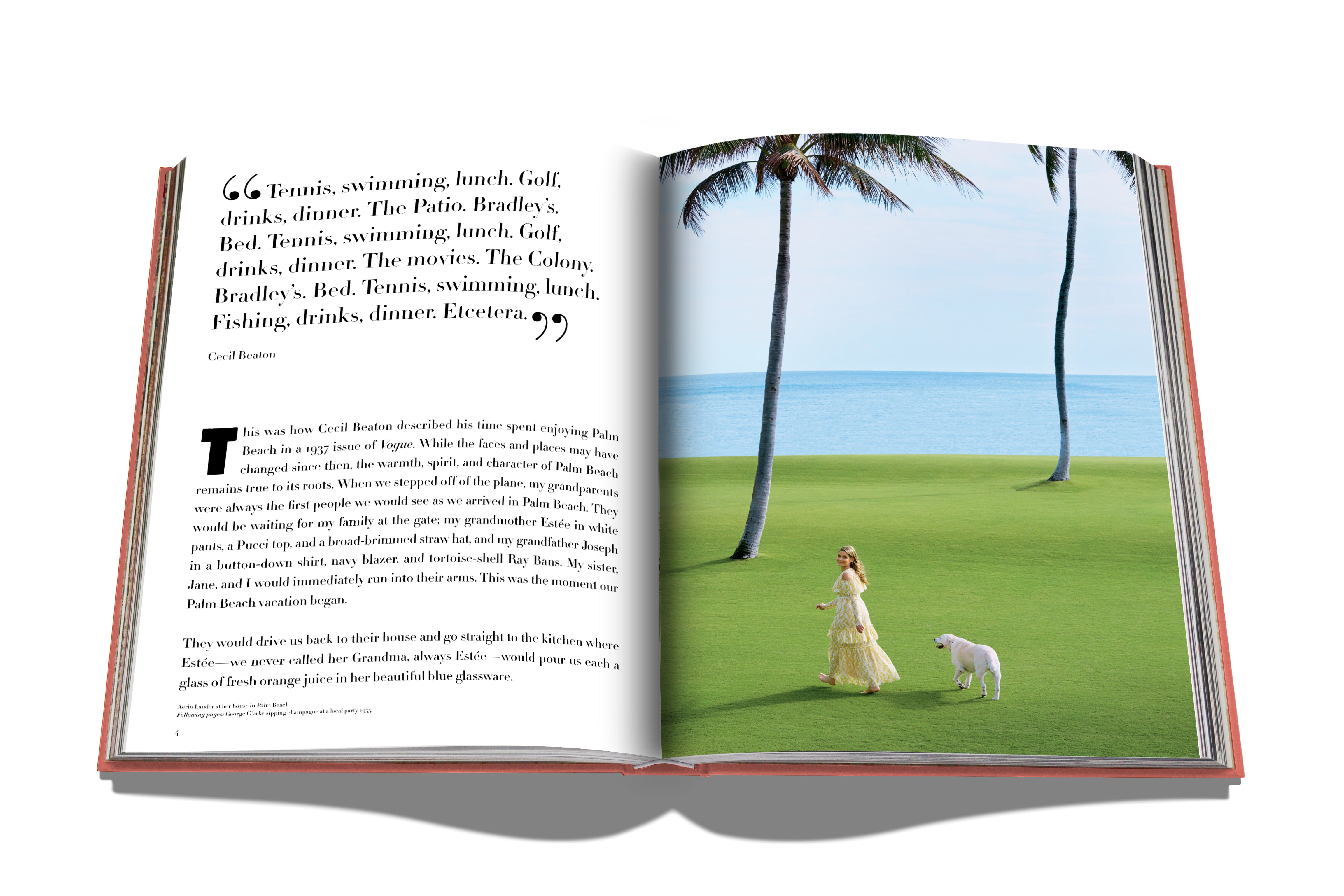 Assouline table book - Palm Beach - Home decoration