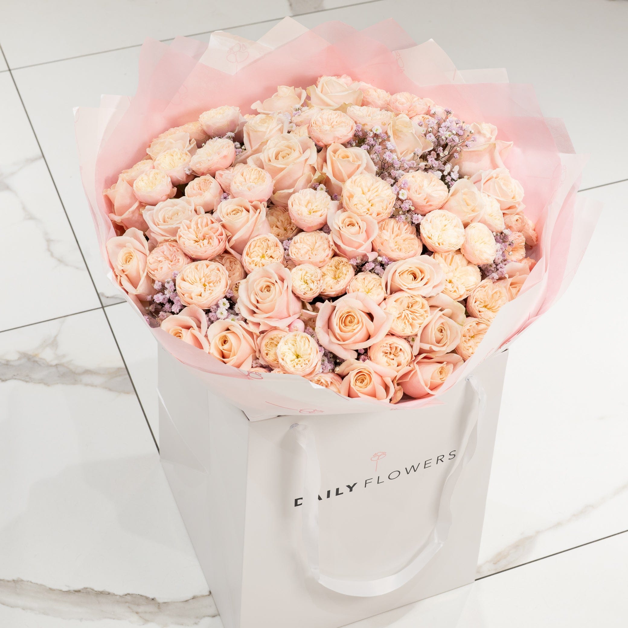 Pastel Princess - TikTok Favorites