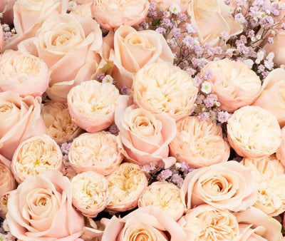 Pastel Princess flower bouquet close-up Daily Flowers