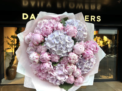 Peony Fairytale Dream