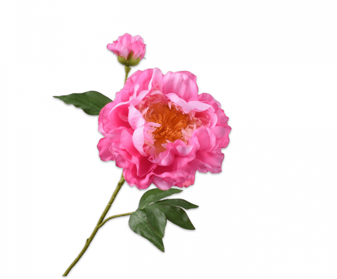 Zijde Pioenroos tak - Roze