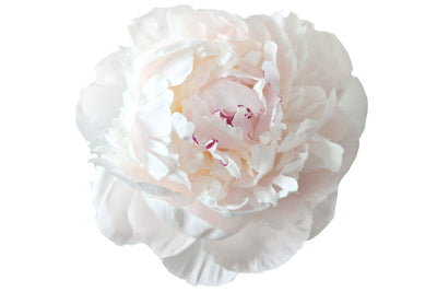 Choose your amount - Peony - Odile