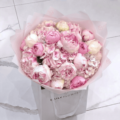 Pink Peony Princess
