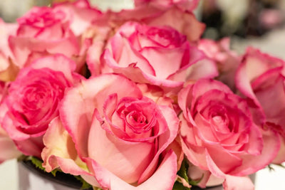 Pink roses hat box arrangement Daily Flowers