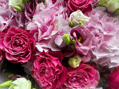 Pink Park Princess flower bouquet close-up Daily Flowers Amsterdam