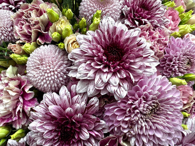 Pink Spring Garden flower arrangement Daily Flowers