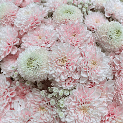 Pink Heaven