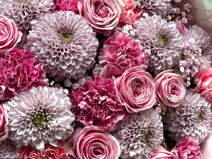 Posh Pink Party - TikTok Favorieten