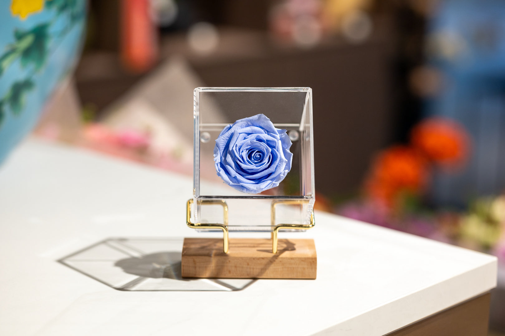 Luxury Preserved Rose - Baby blue