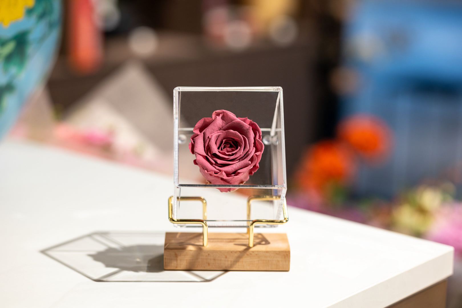 Luxury Preserved Rose - Old Pink