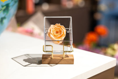 Luxury Preserved Rose