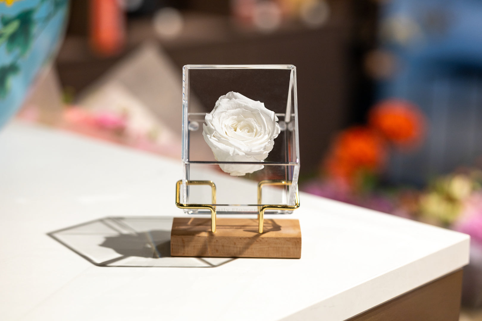 Luxury Preserved Rose - White