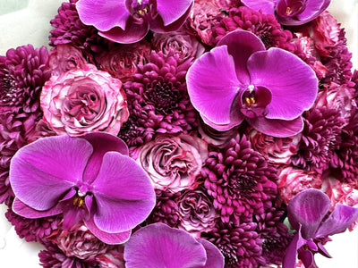 Raspberry Rose bouquet close-up Daily Flowers