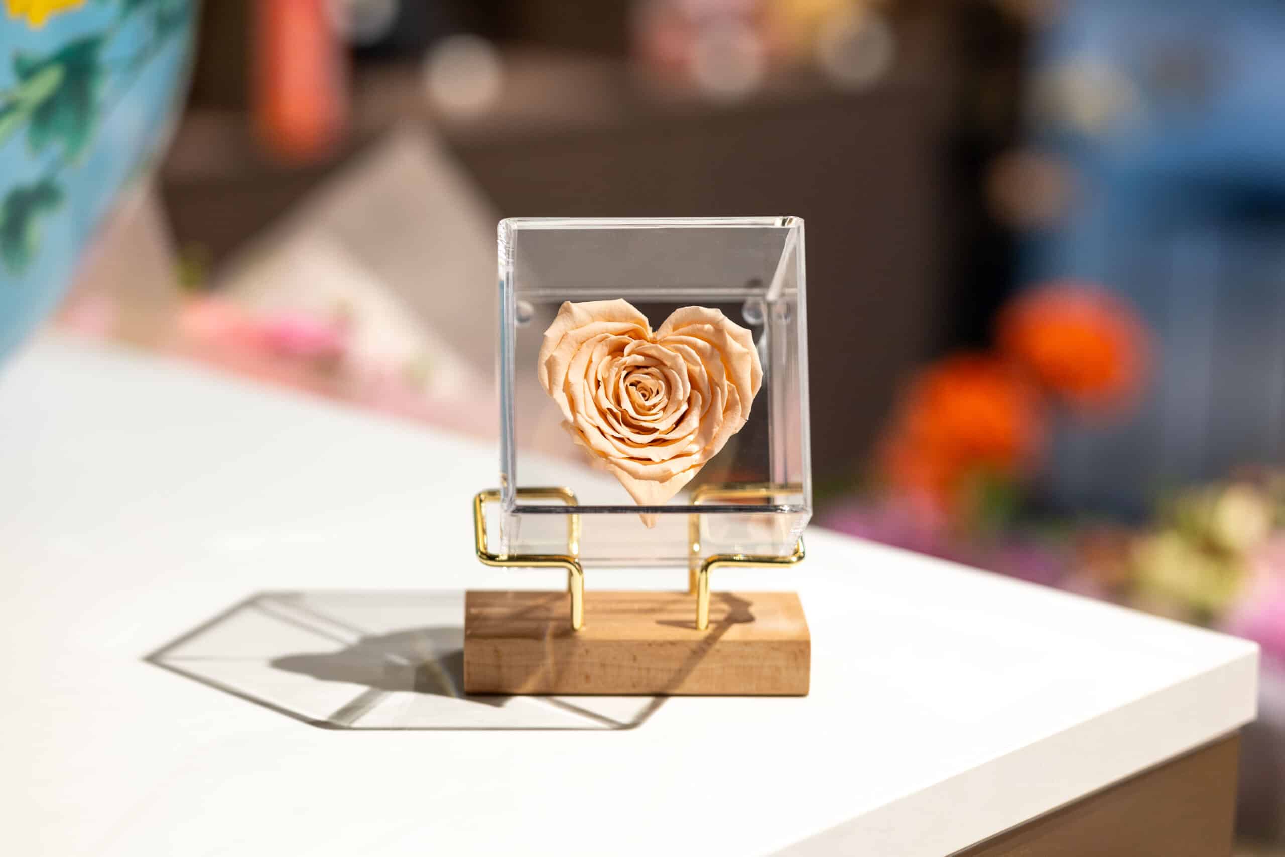 Luxury preserved rose heart - peach