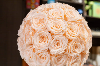 Preserved Rose Bowl - Preserved Roses