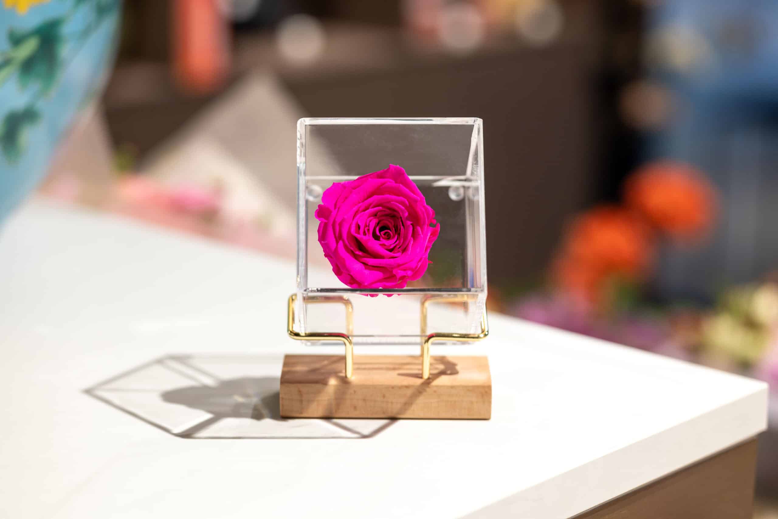 Luxury preserved rose - Bright pink