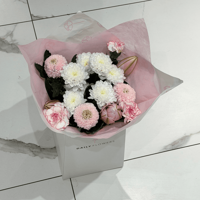 Soft Lily Dream - Mini