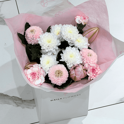 Soft Lily Dream - Mini
