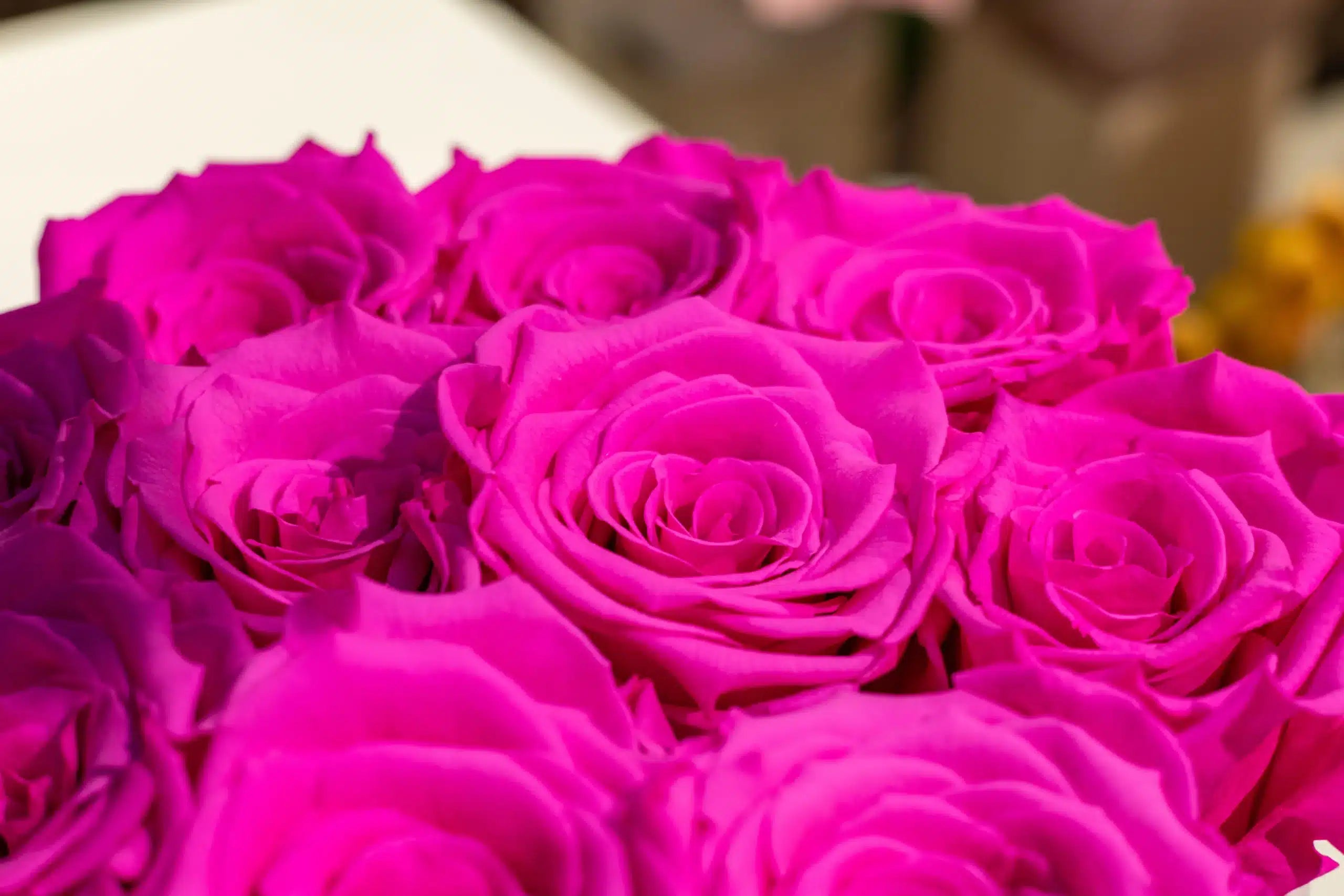 The exclusive box of love - long lasting roses - Bright pink