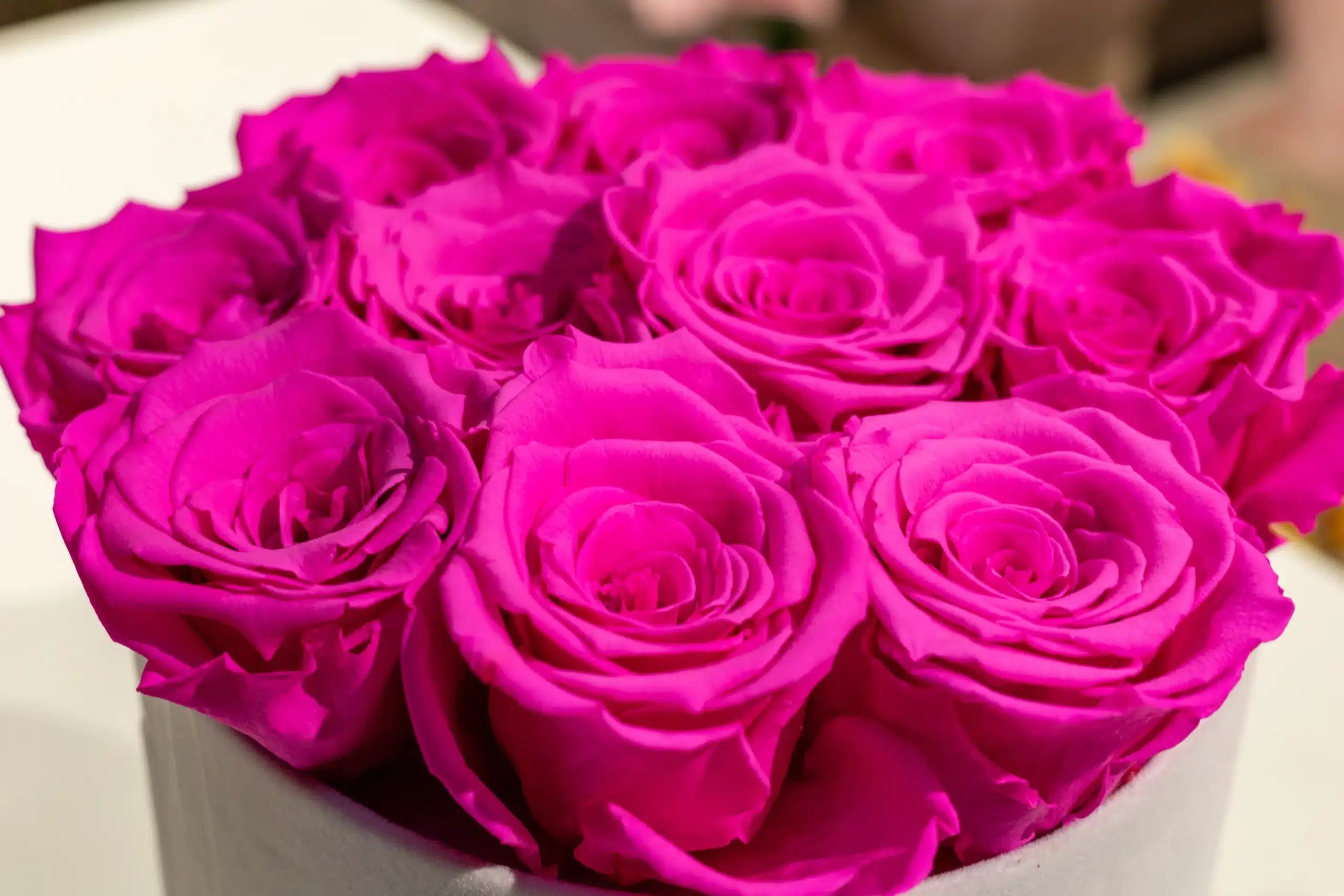 The exclusive box of love - long lasting roses - Bright pink