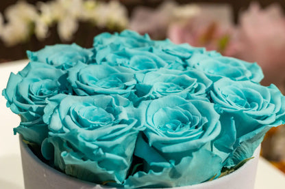 The exclusive box of love - long lasting roses - Tiffany blue