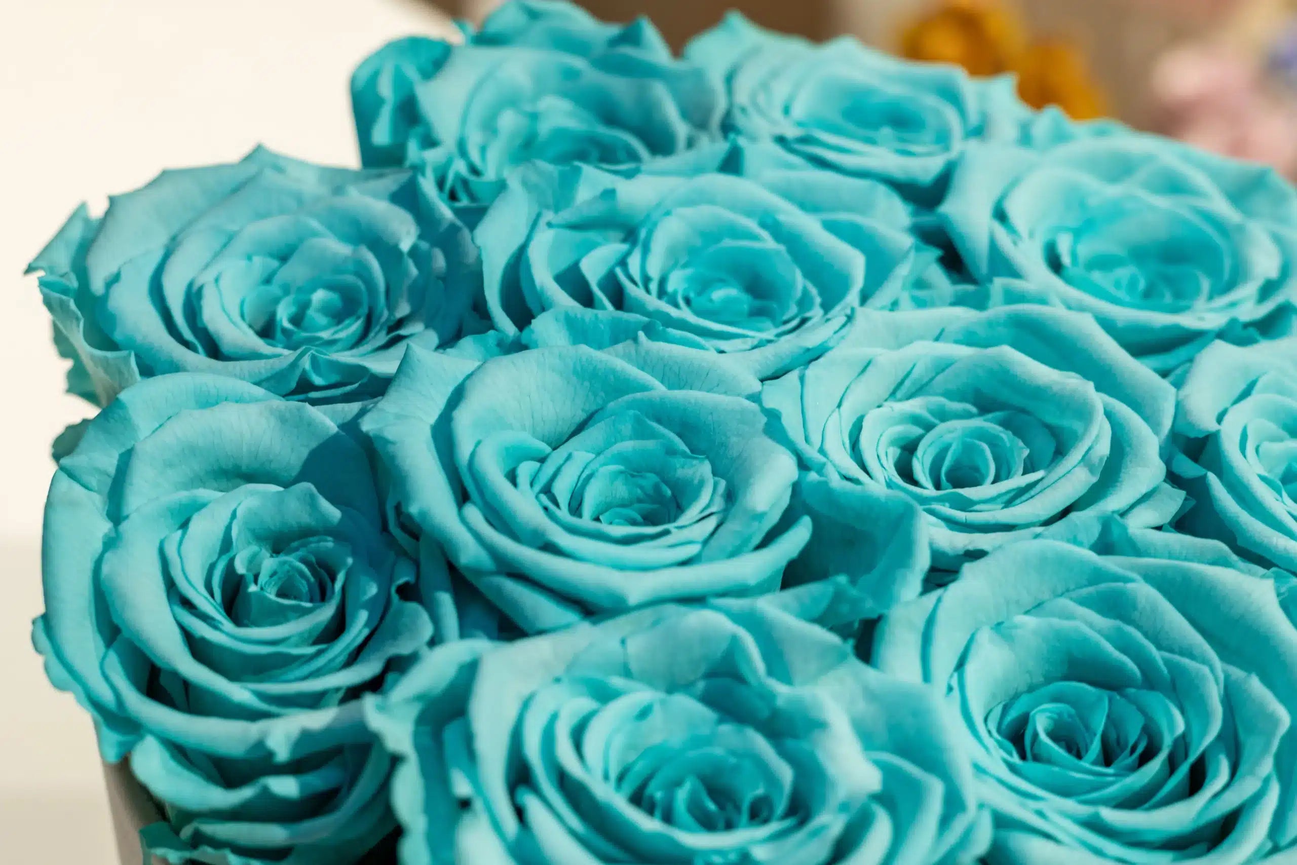 The exclusive box of love - long lasting roses - Tiffany blue