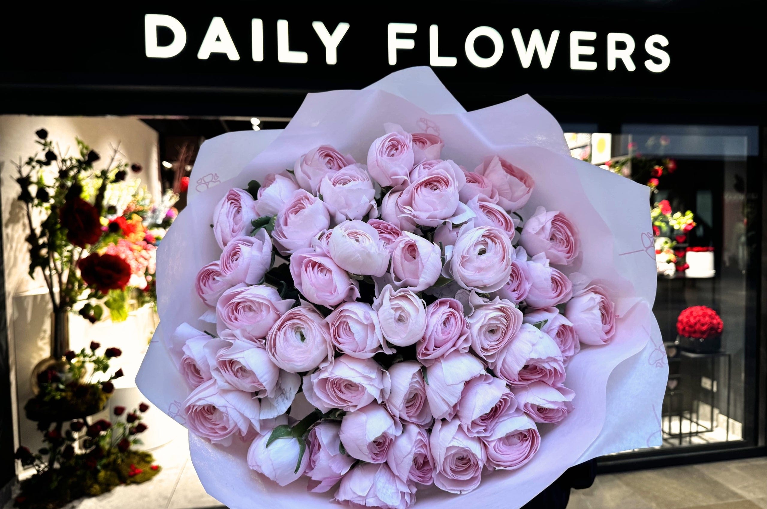 Peony Pink Ranunculus - Choose Your Amount