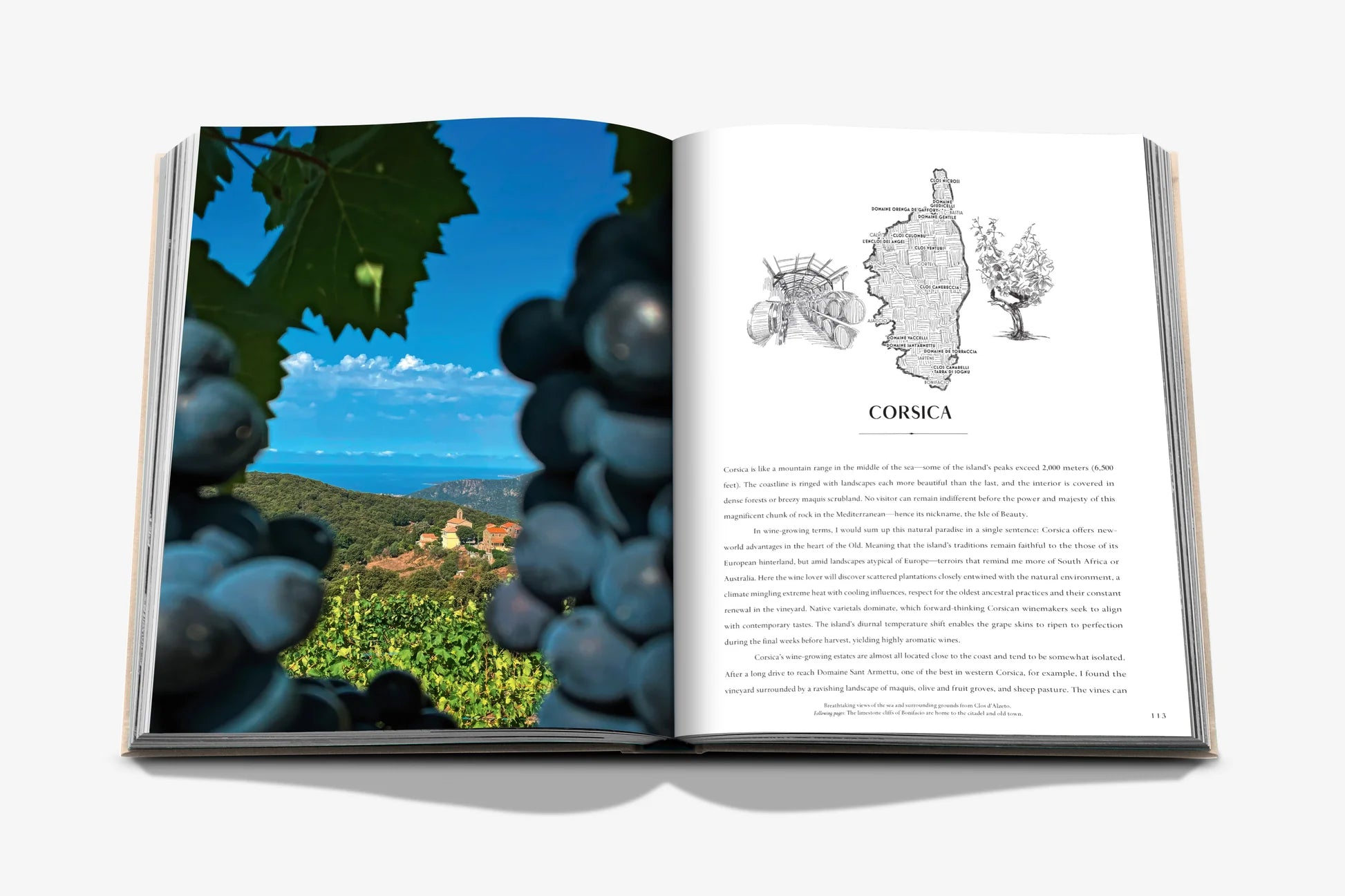 Assouline coffee table book – Wine & travel France