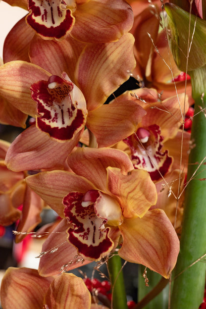 Warm Holiday Elegance