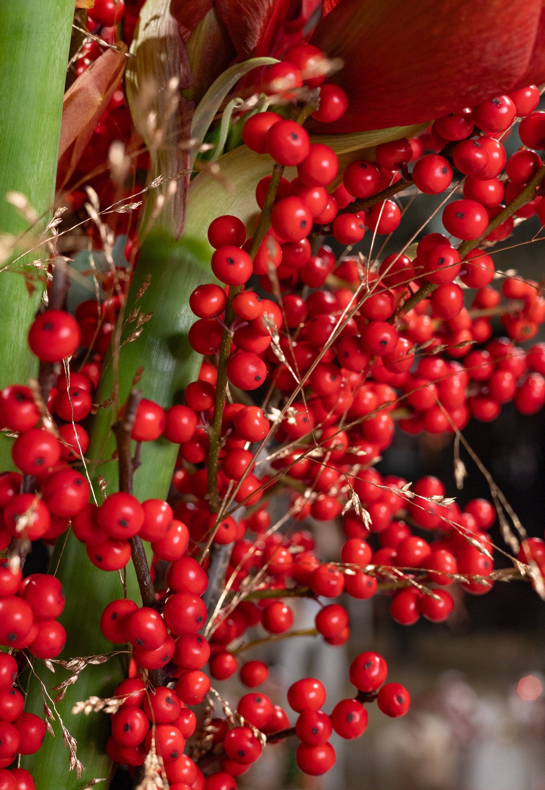 Warm Holiday Elegance