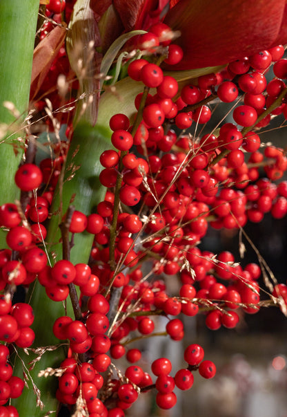 Warm Holiday Elegance