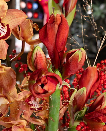 Warm Holiday Elegance