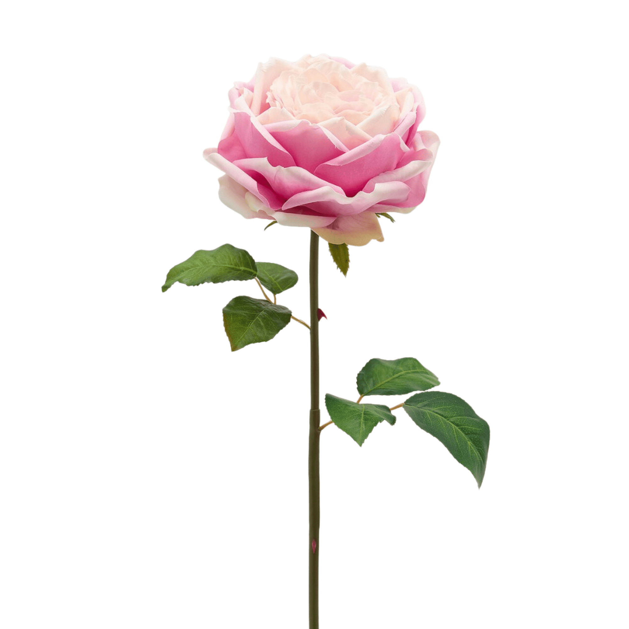 Artificial English Rose