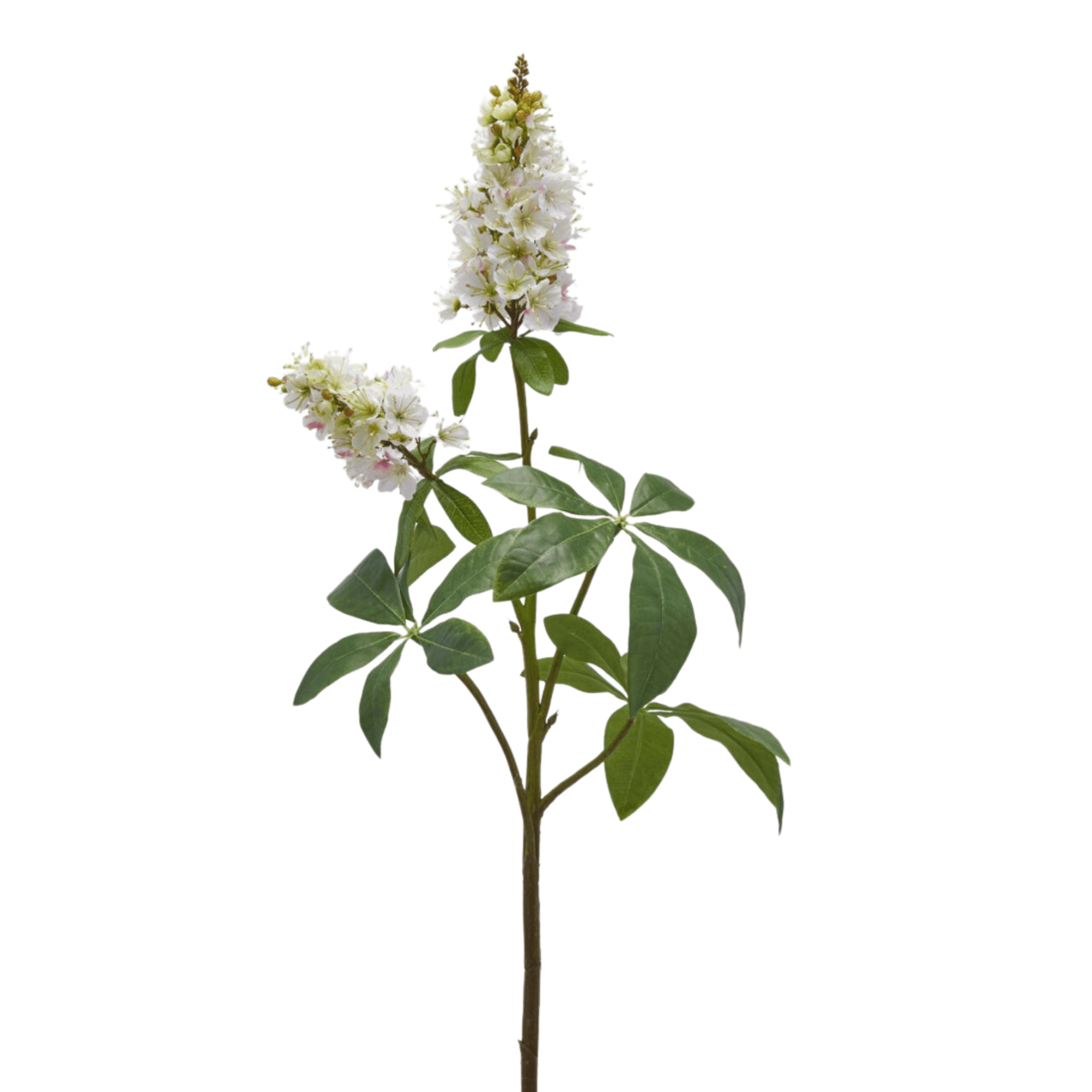Artificial Horse Chestnut