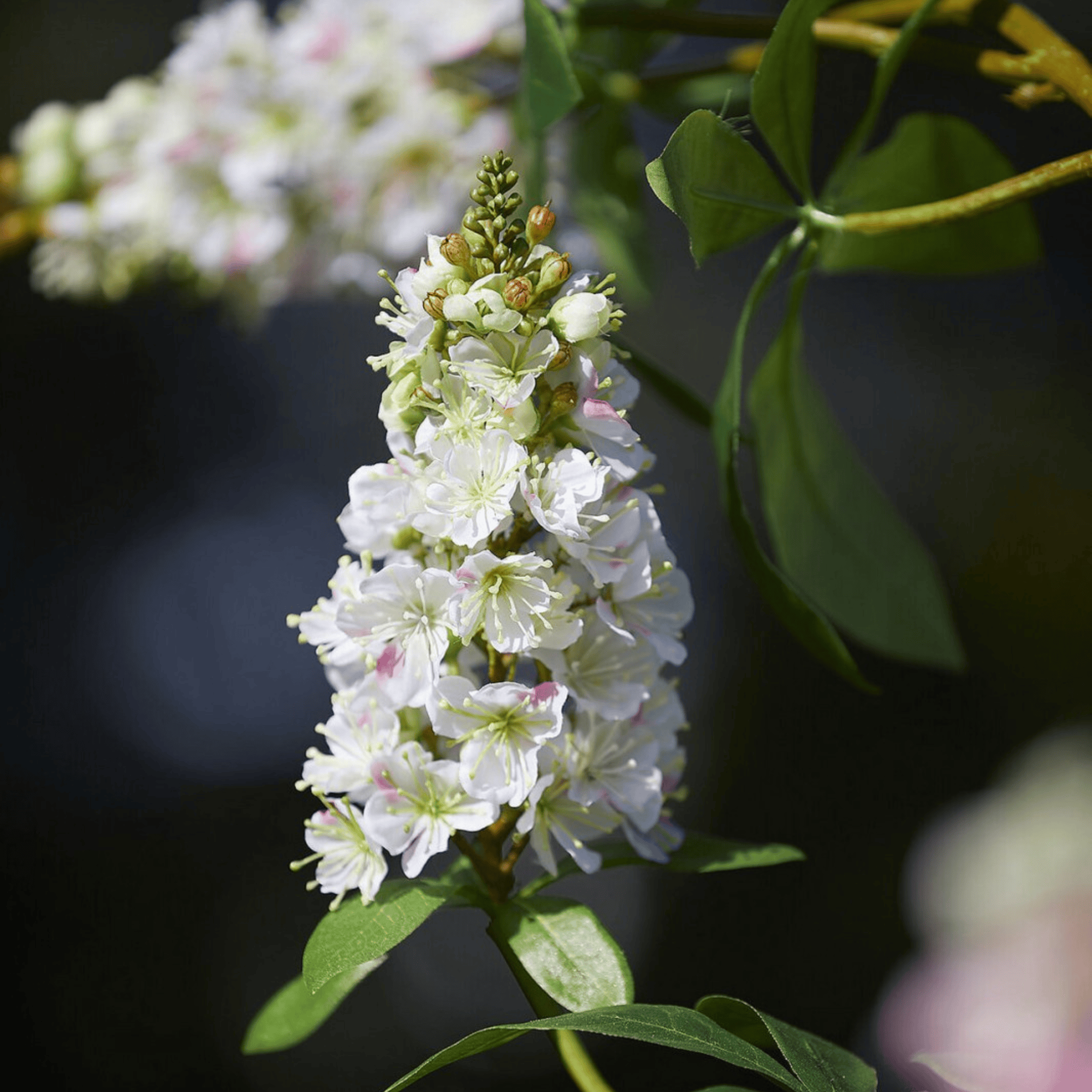 Artificial Horse Chestnut