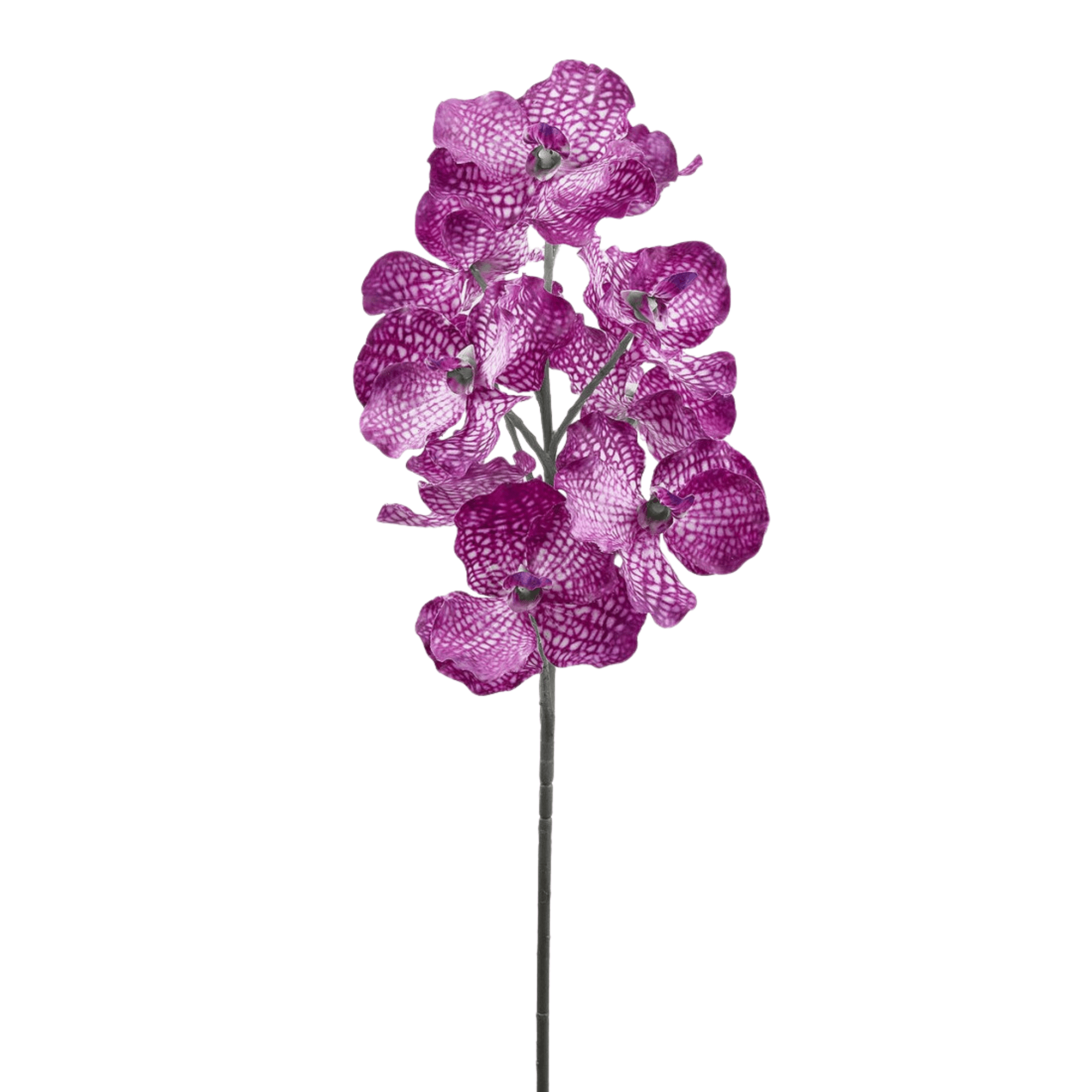 Artificial Orchid - Purple Vanda