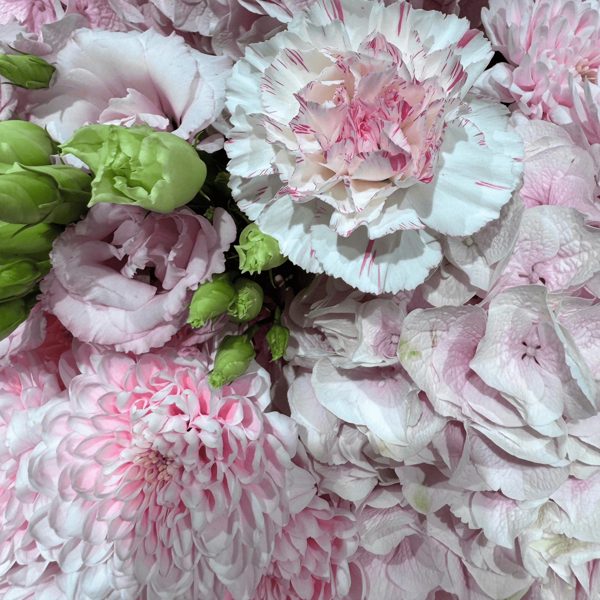 Pretty Pink Princess