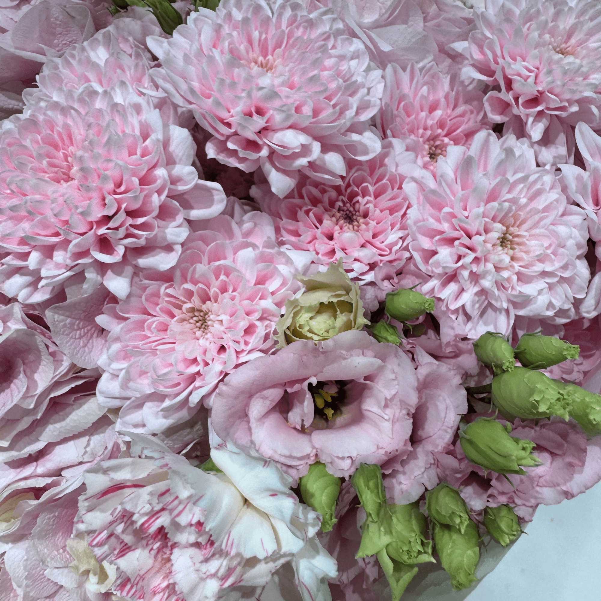 Pretty Pink Princess