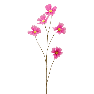 Artificial cosmos branch