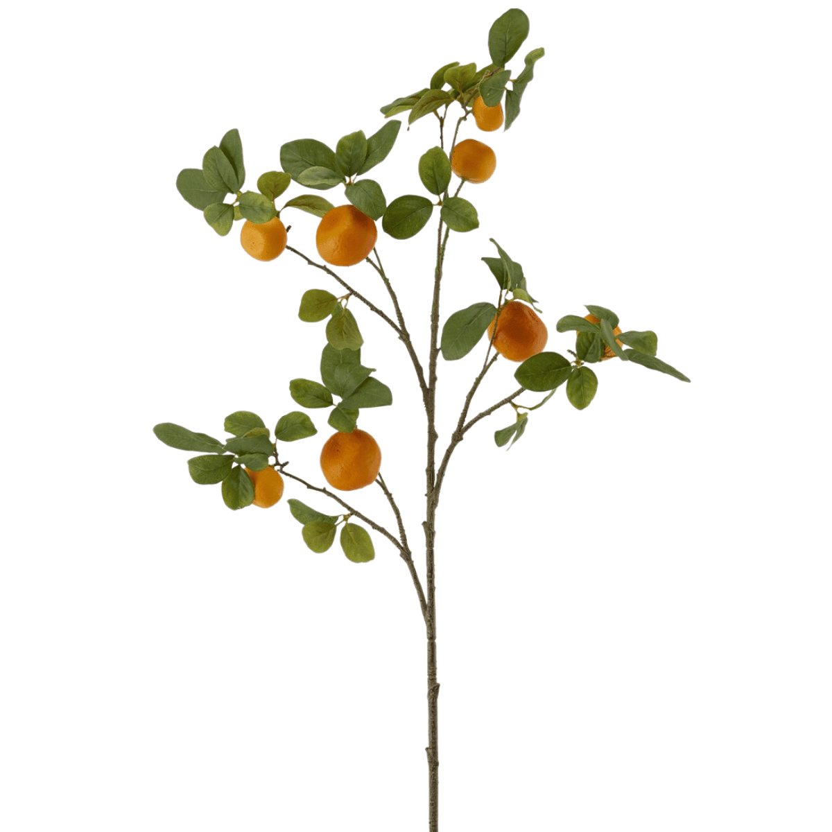 Artificial clementine branch