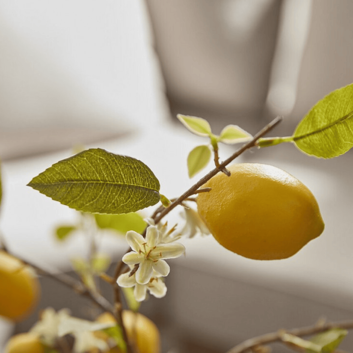 Artificial lemon blossom branch close-up