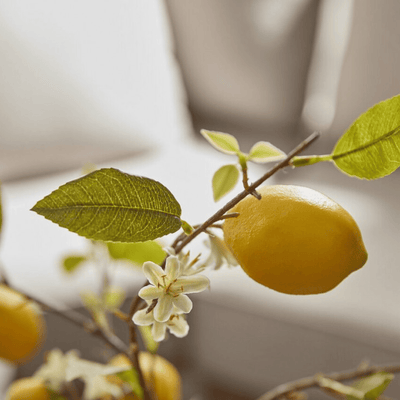 Artificial lemon blossom branch close-up