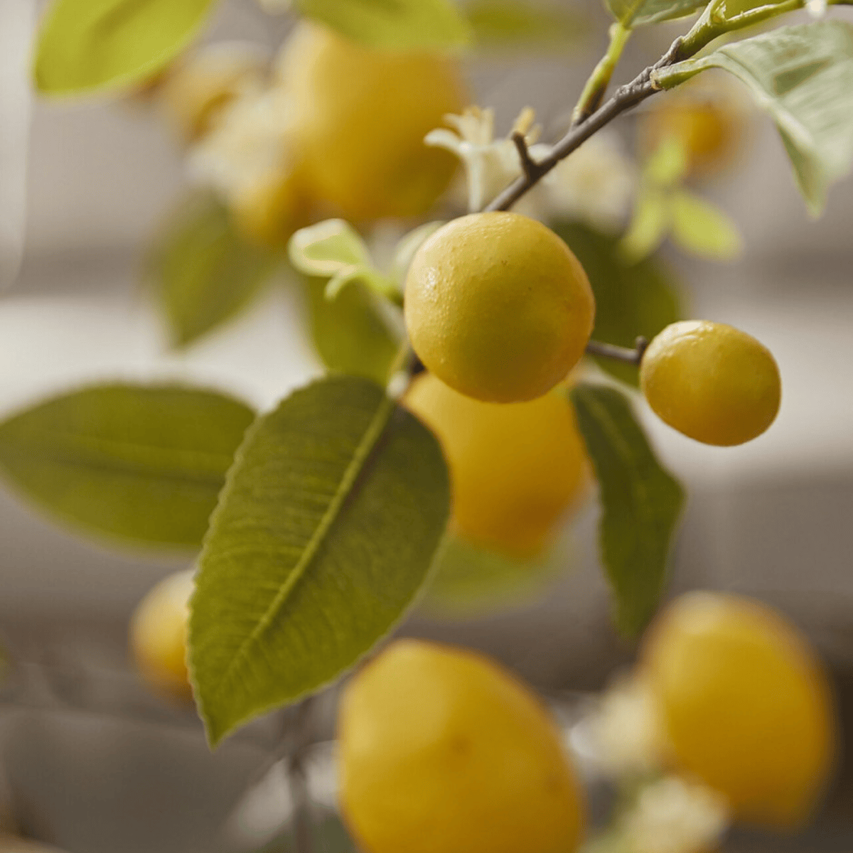 Artificial lemon blossom branch detail