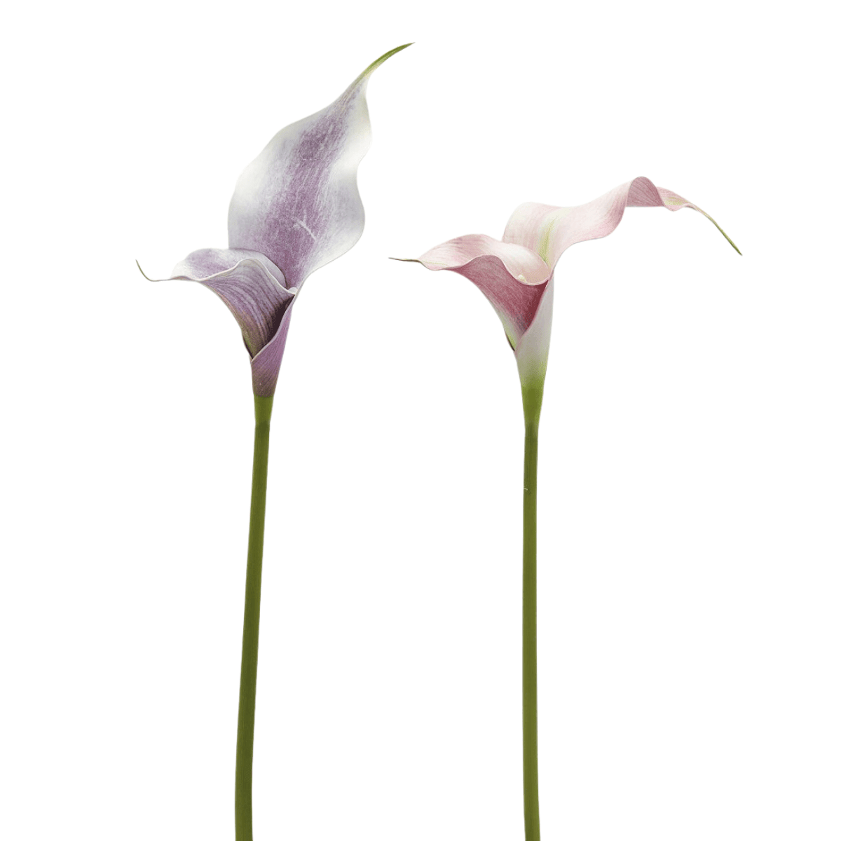 Artificial Calla lily stem